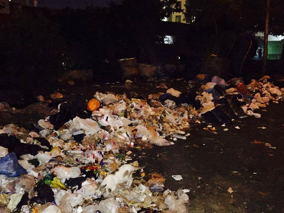 القمامة فى شوارع سموحة (4)