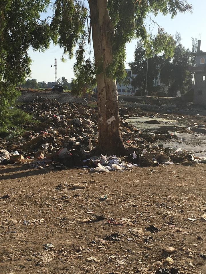 مناشدة برفع القمامة محن محيط القرية والمدارس المحيطة بها
