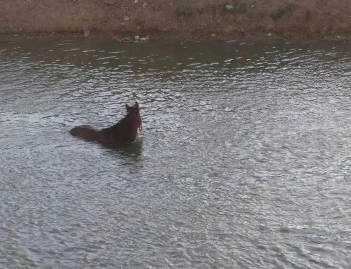  مصدر مياة الشرب