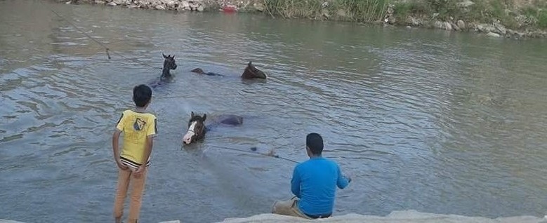 الإهمال بترعة السويس