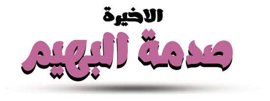 الحلقة الاخيرة من مسلسل الأمير بهيم فى جزيرة الجحيم