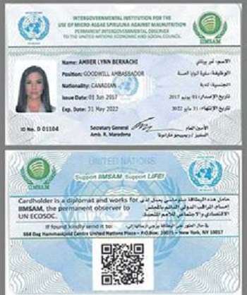 جواز السفر الدبلوماسى