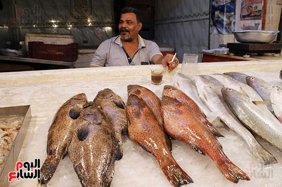 الجمبرى وسمك الناجل منتشر فى سوق الأسماك 