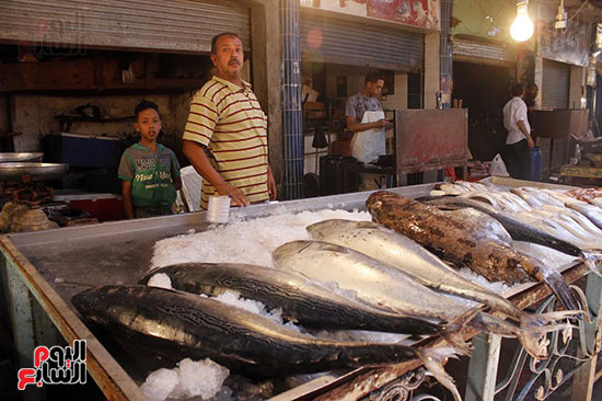 سوق الأسماك بمدينة السويس 