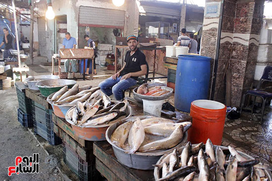 فروشات سوق الأسماك