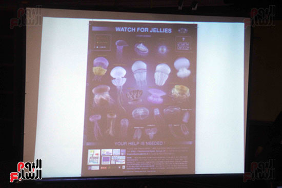 مؤتمر وزارة البيئه  (8)