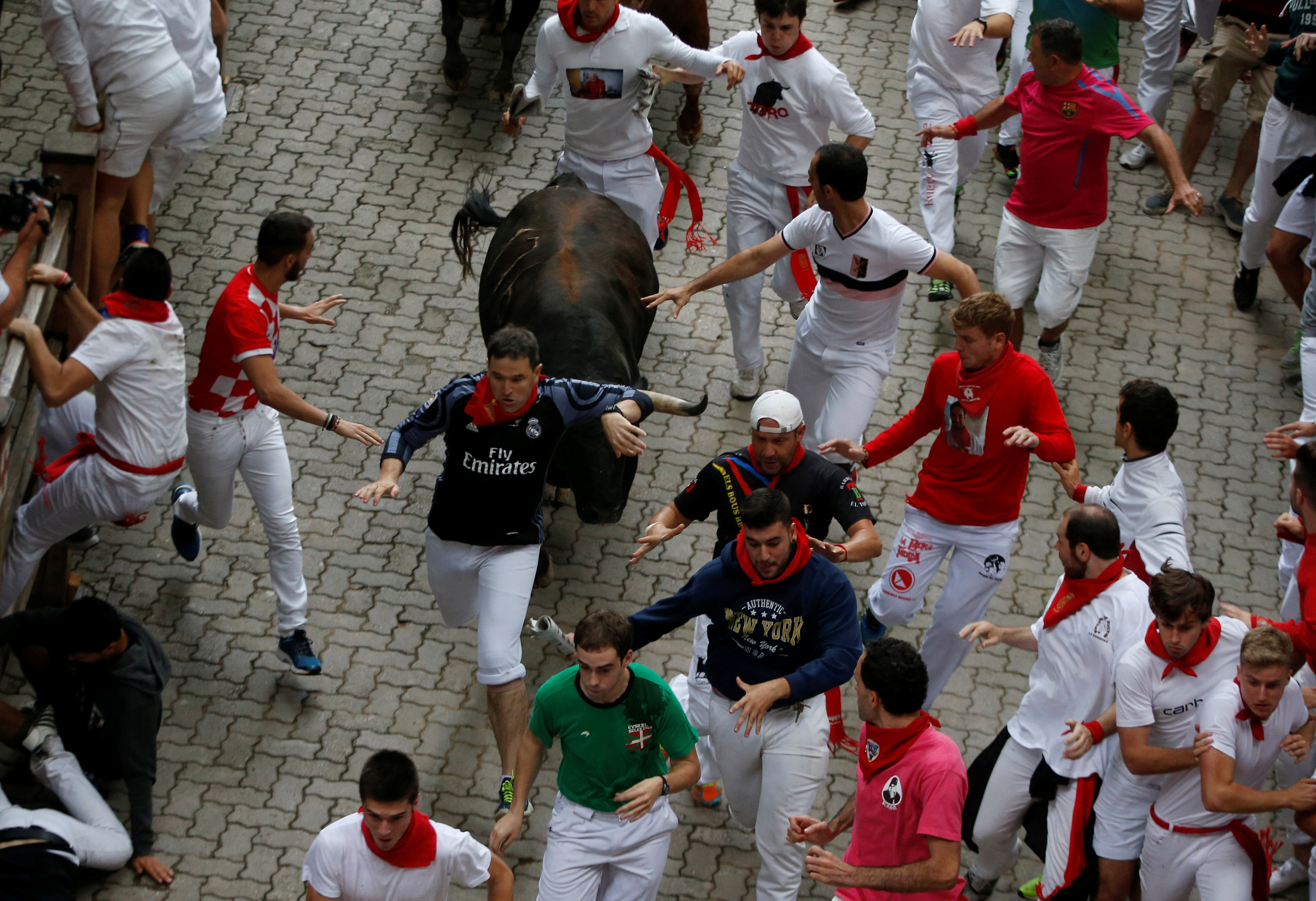 مهرجان الثيران