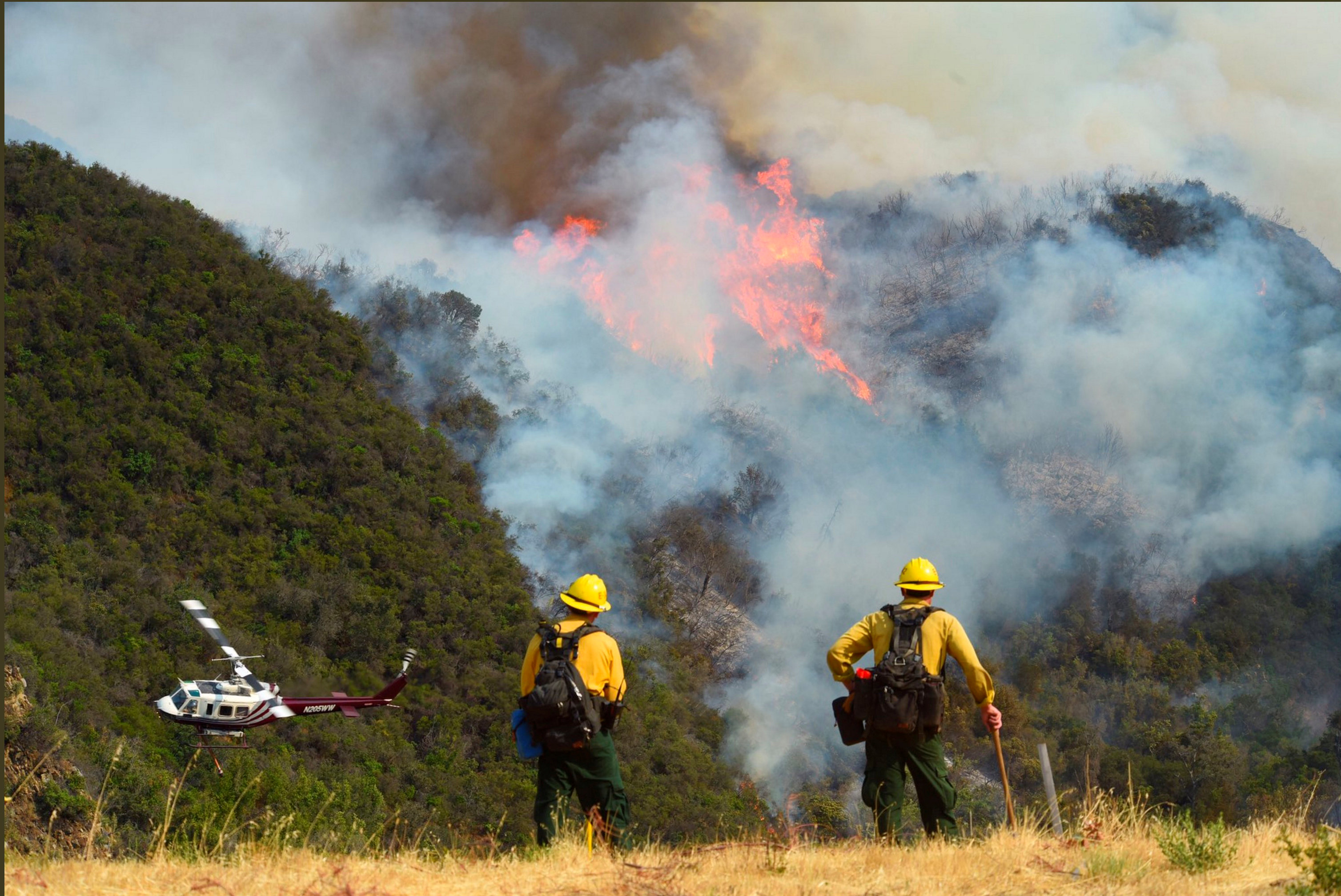 رجال الاطفاء تكافح نيران غابات كاليفورنيا