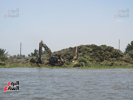  أزالة الغاب وورد النيل من قطاع النسايمة بحيرة المنزلة