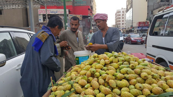 تقديم التين للزبائن