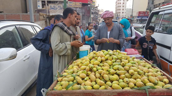 الإقبال على التين 