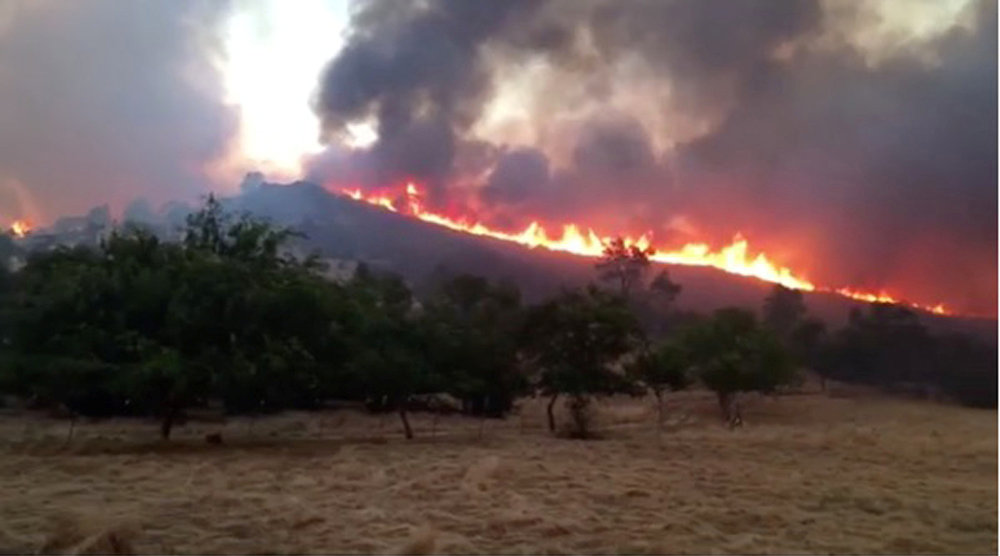 حرائق الغابات بكاليفورنيا