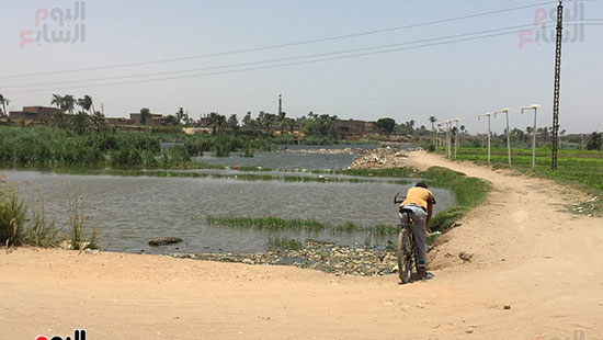 أحد الأطفال ينتظر أصدقائه للنزول فى مياه النيل الملوثة