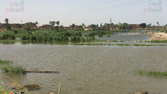 النيل بعد ردمه بالمخلفات