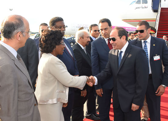 الرئيس عبد الفتاح السيسى (3)