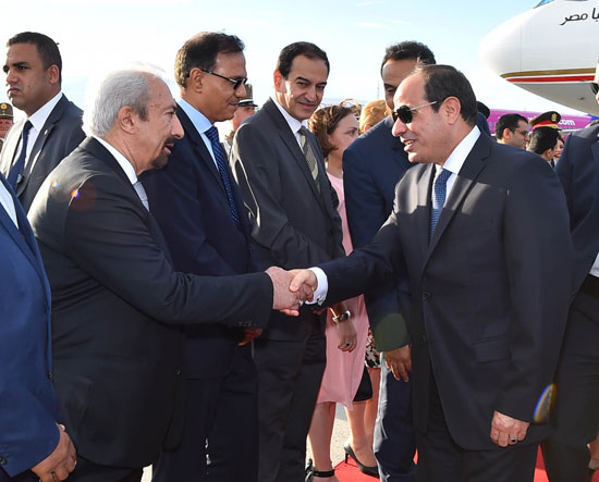 الرئيس عبد الفتاح السيسى (9)