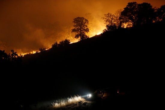 النيران تحيط بأشجار غابات كاليفورنيا
