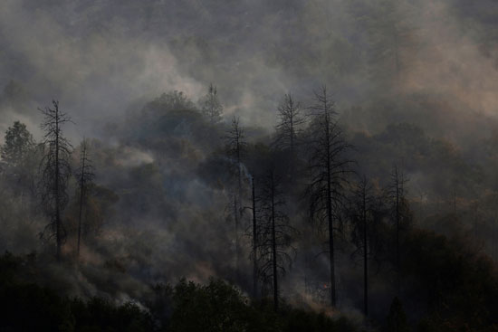 الأدخنة تتصاعد من غابات كاليفورنيا