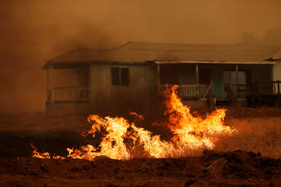 ألسنة النيران تتصاعد فى غابات كاليفورنيا