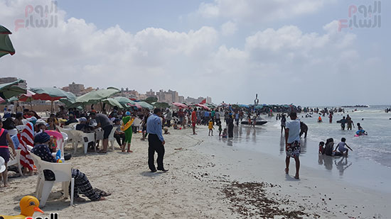 صور قصة شاطئ الموت بالعجمى لماذا تحول النخيل إلى مثلث برمودة يحصد الغرقى اليوم السابع