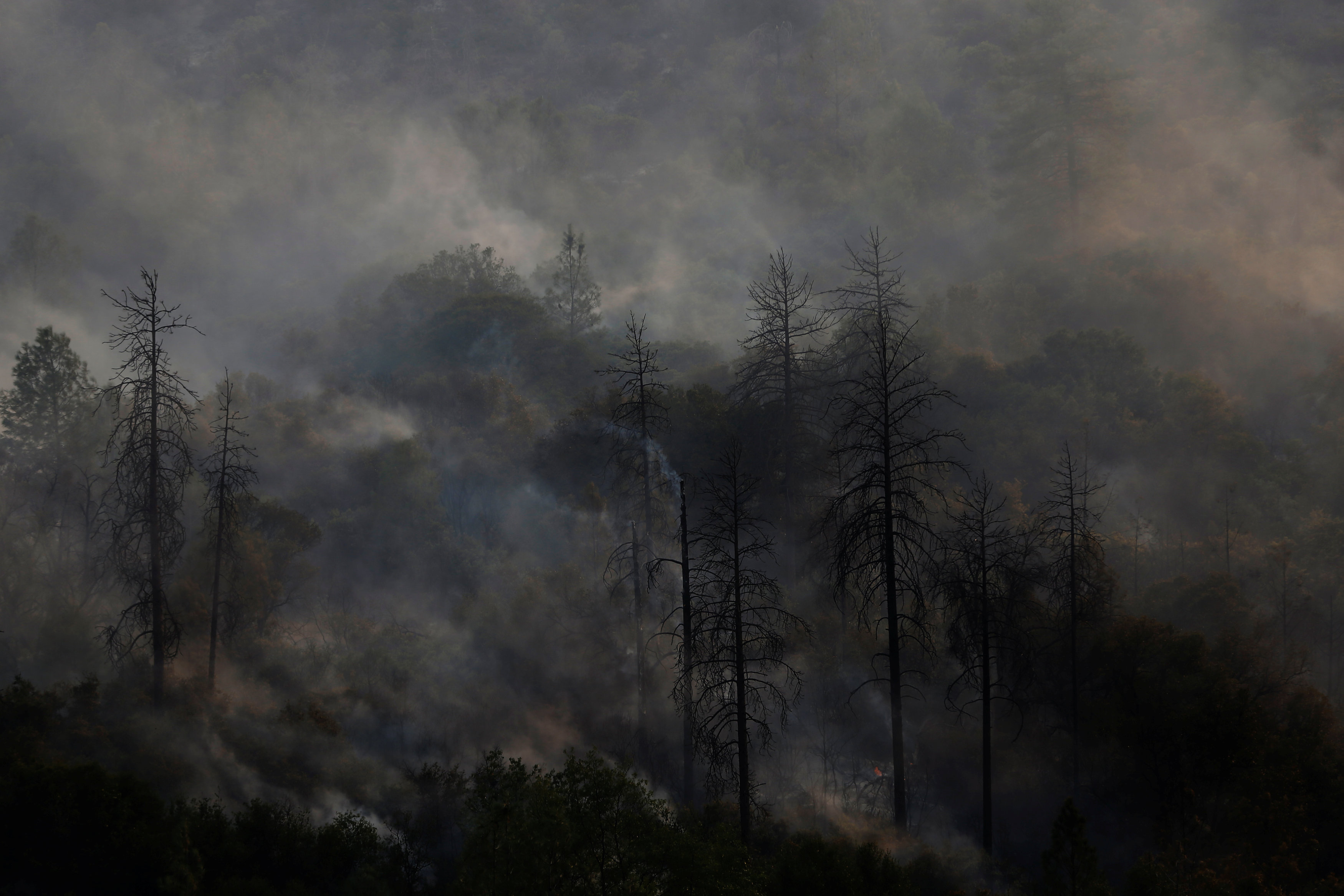 الادخنة تتصاعد من حرائق غابات كاليفورنيا