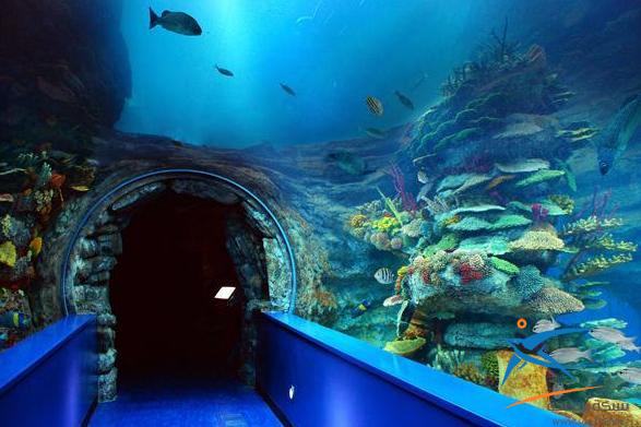 متحف الأحياء المائية