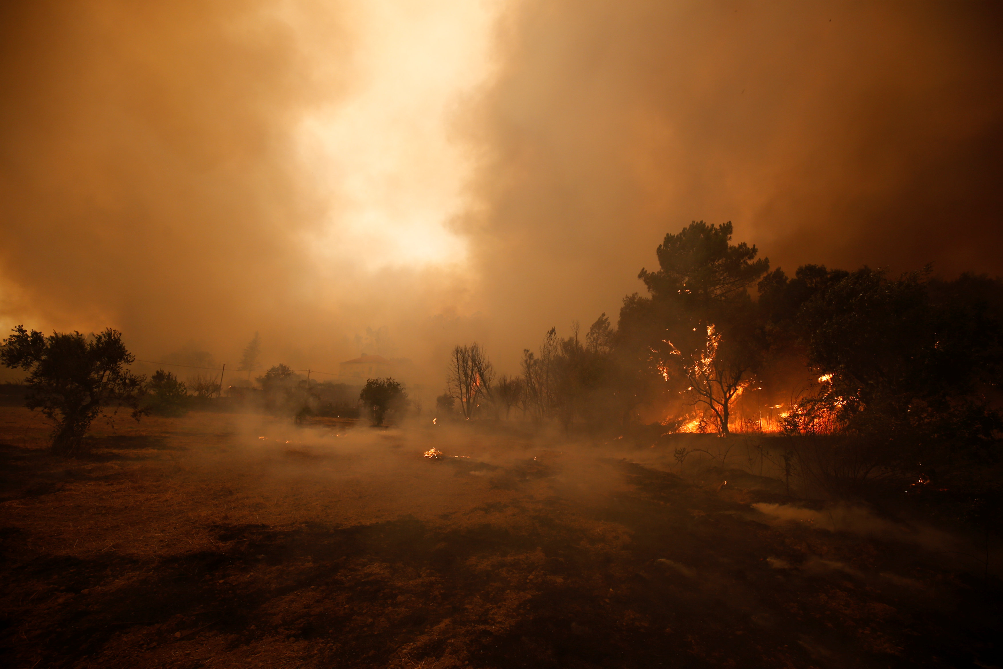 النيران تلتهم مئات الهكتارات من الغابات فى البرتغال
