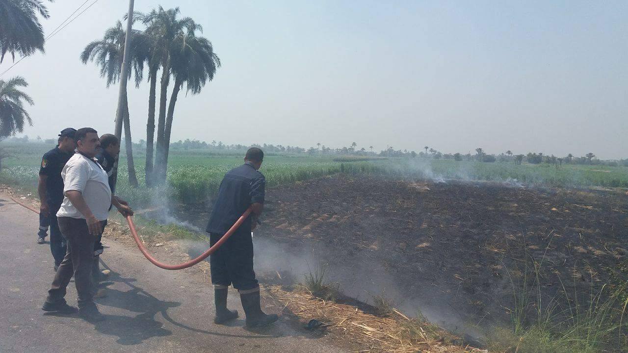 إخماد حريق اندلع بأحد الحقول بقرية الروضة بالمنيا (4)