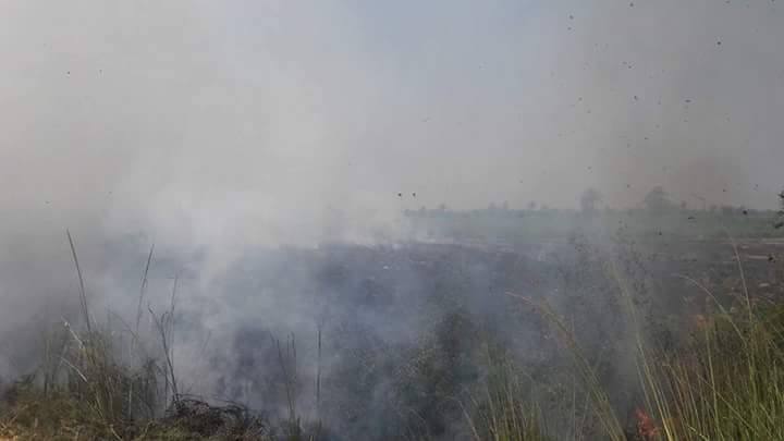 إخماد حريق اندلع بأحد الحقول بقرية الروضة بالمنيا (1)