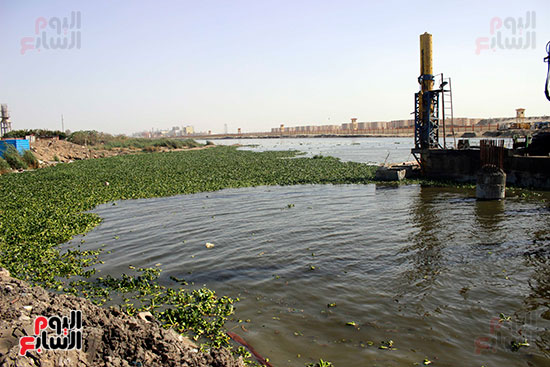  الحشائش المائية أحد علامات التلوث فى البحيرة 