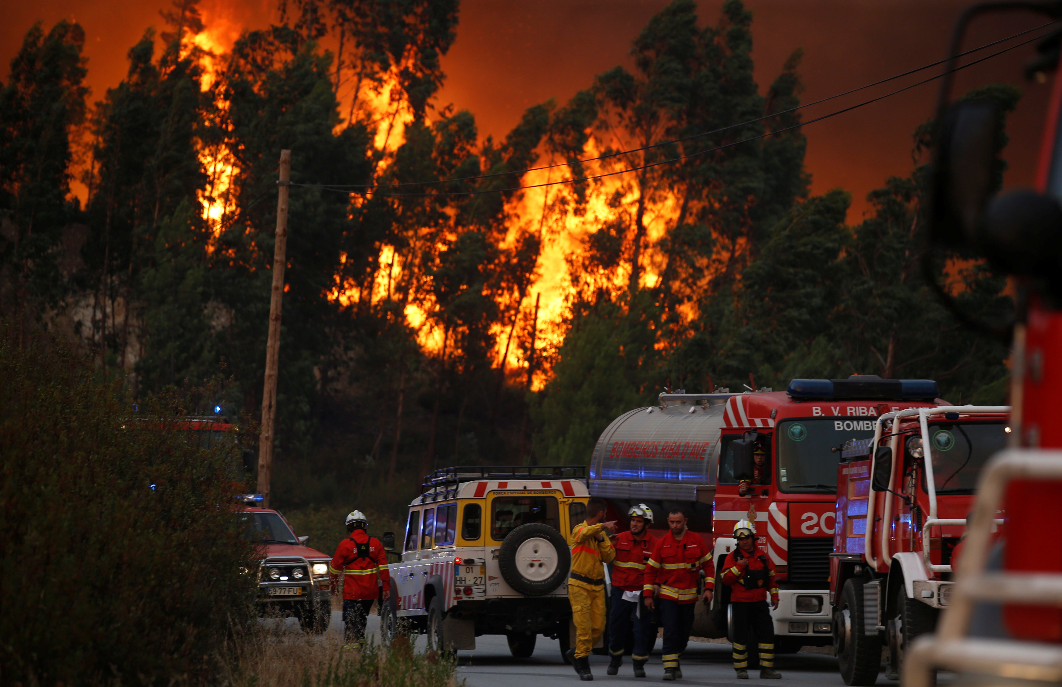 حرائق الغابات فى البرتغال ورجال الحماية المدنية تنتشر بموقع النيران