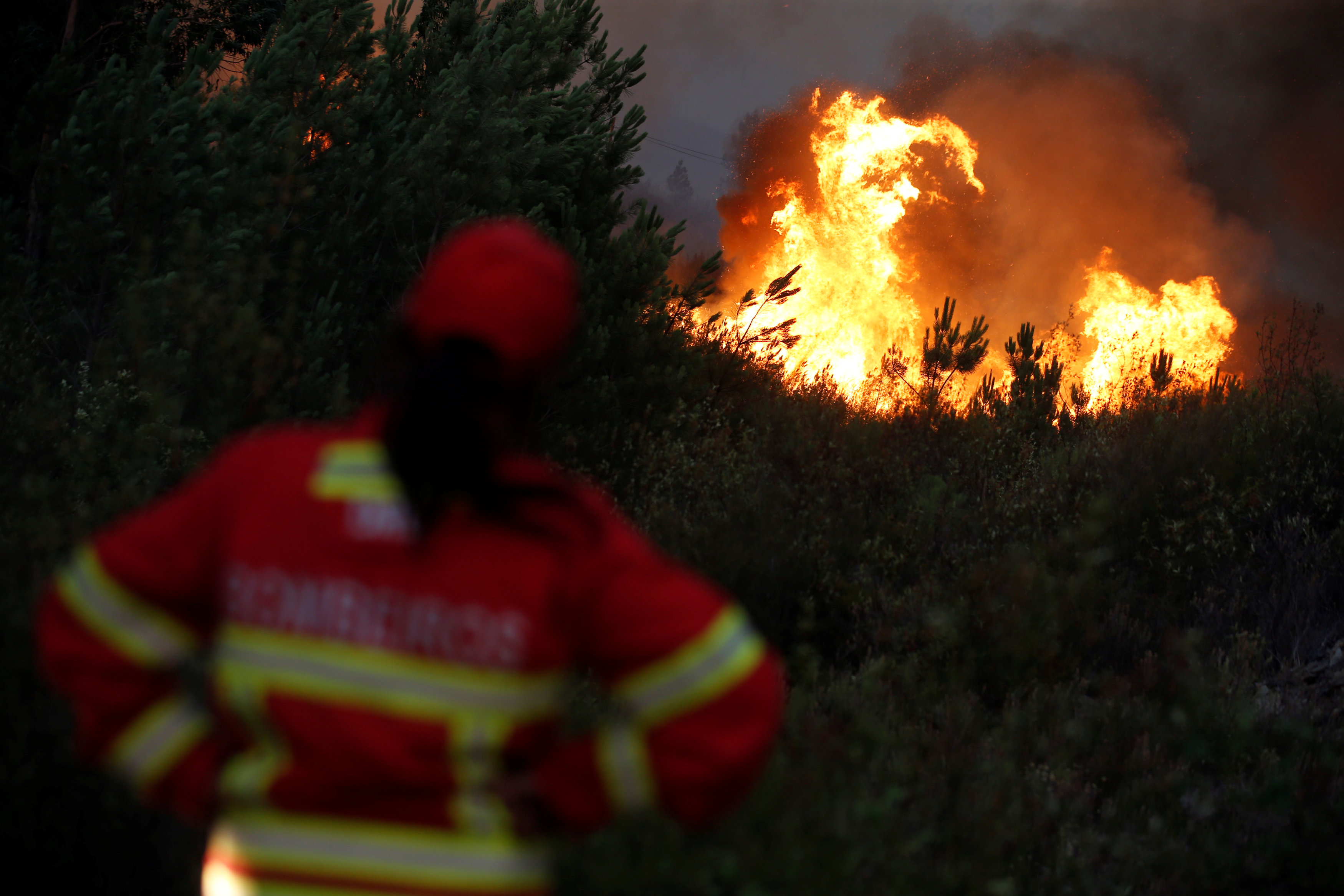 جانب من حرائق الغابات فى البرتغال