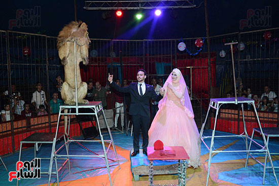 العروس والعريس ولحظة تأمل للأسد أثناء حفل الخطوبة
