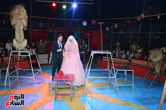 العروس تتقلد دبلة الخطوبة داخل قفص الأسود