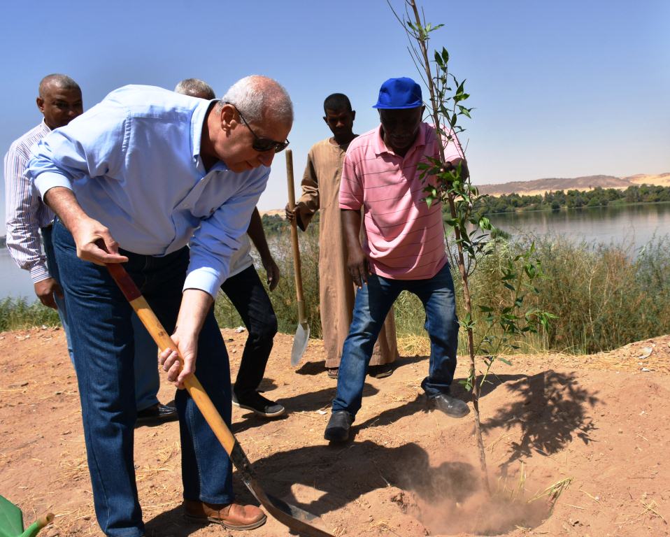المحافظ يكلف رئيس مدينة أسوان و الحدائق بزراعة 150 شجرة على أمتداد الكورنيش