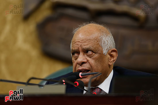 الجلسه العامه - مجلس النواب (9)