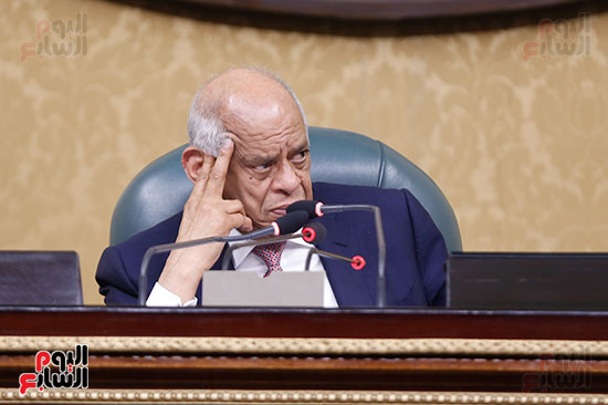 الجلسه العامه - مجلس النواب (15)