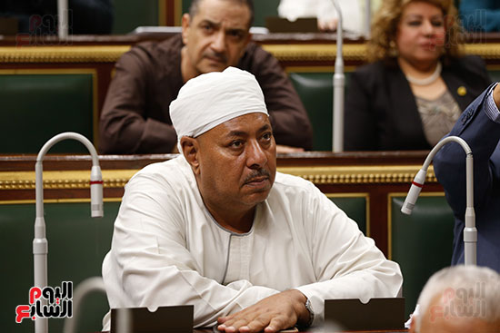 الجلسه العامه - مجلس النواب (3)