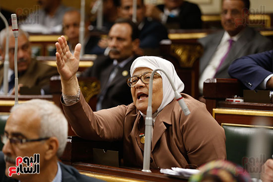 الجلسه العامه - مجلس النواب (5)
