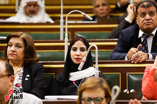 الجلسه العامه - مجلس النواب (14)