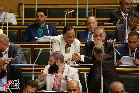 الجلسه العامه - مجلس النواب (7)