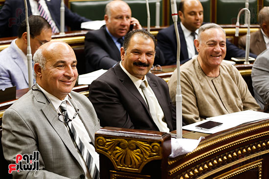الجلسه العامه - مجلس النواب (12)
