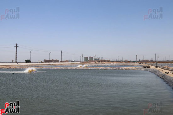 المزراع السمكية ببركة غليون