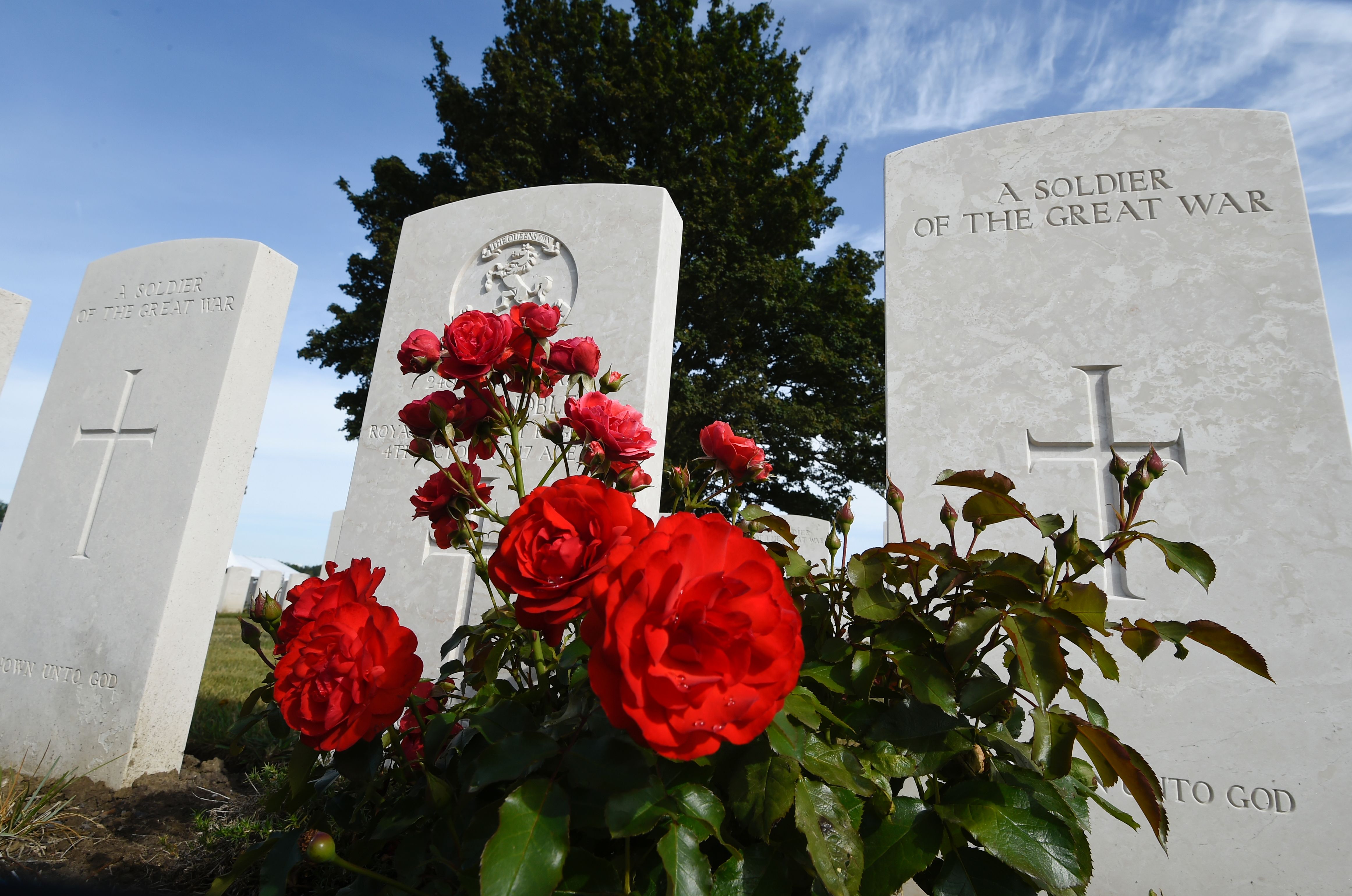 الورود أمام شواهد قبور ضحايا الحرب العالمية الاولى