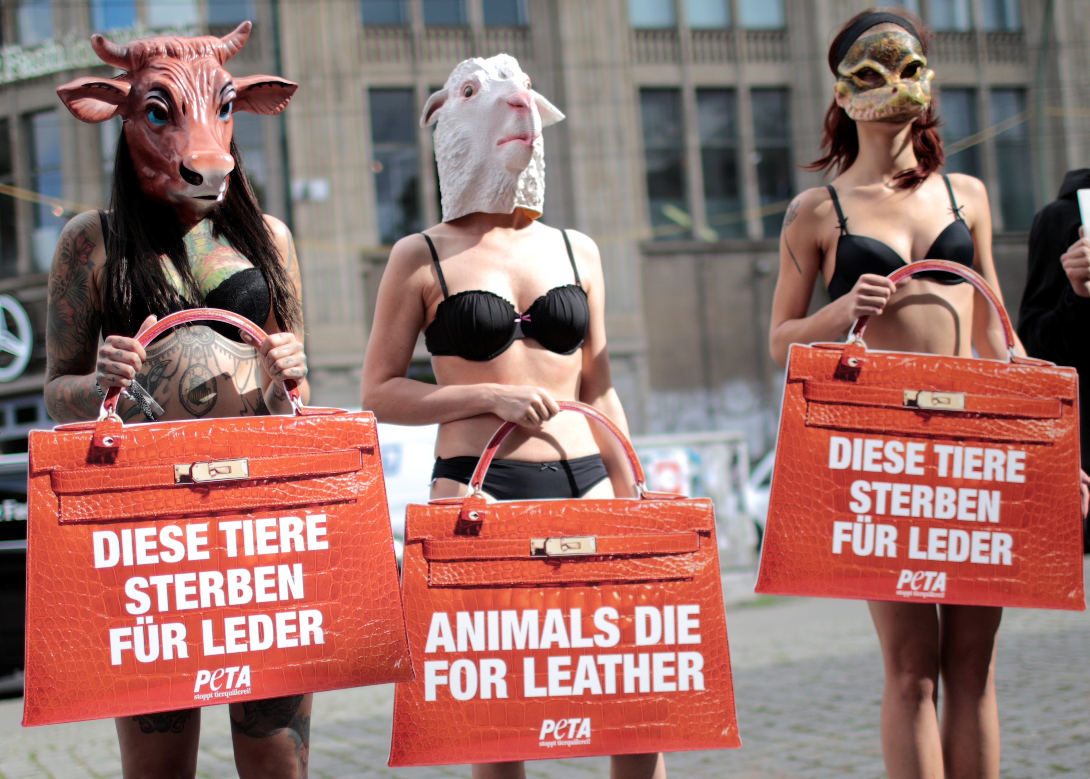 لافتات احتجاجية على قتل الحيوانات من أجل الجلود