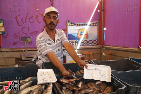 اسعار الاسماك في السوق