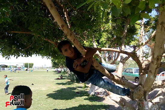 أطفال تتسلق الأشجار وتعبث بالنجيل الصناعى