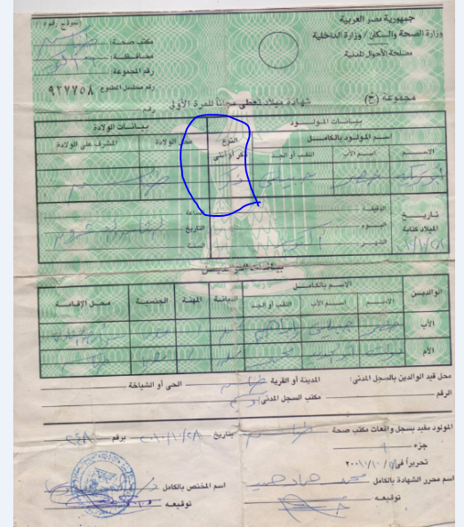 شهاد ميلاد الطفل 2