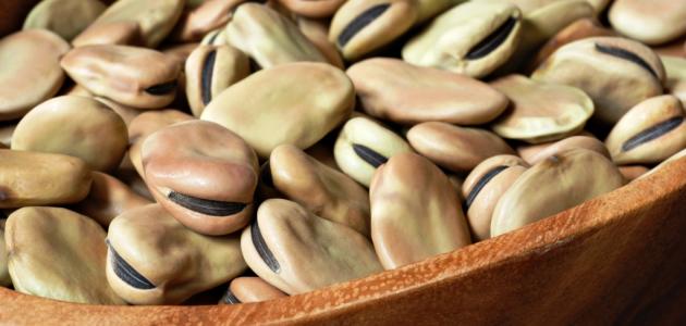 مسحوق الفول