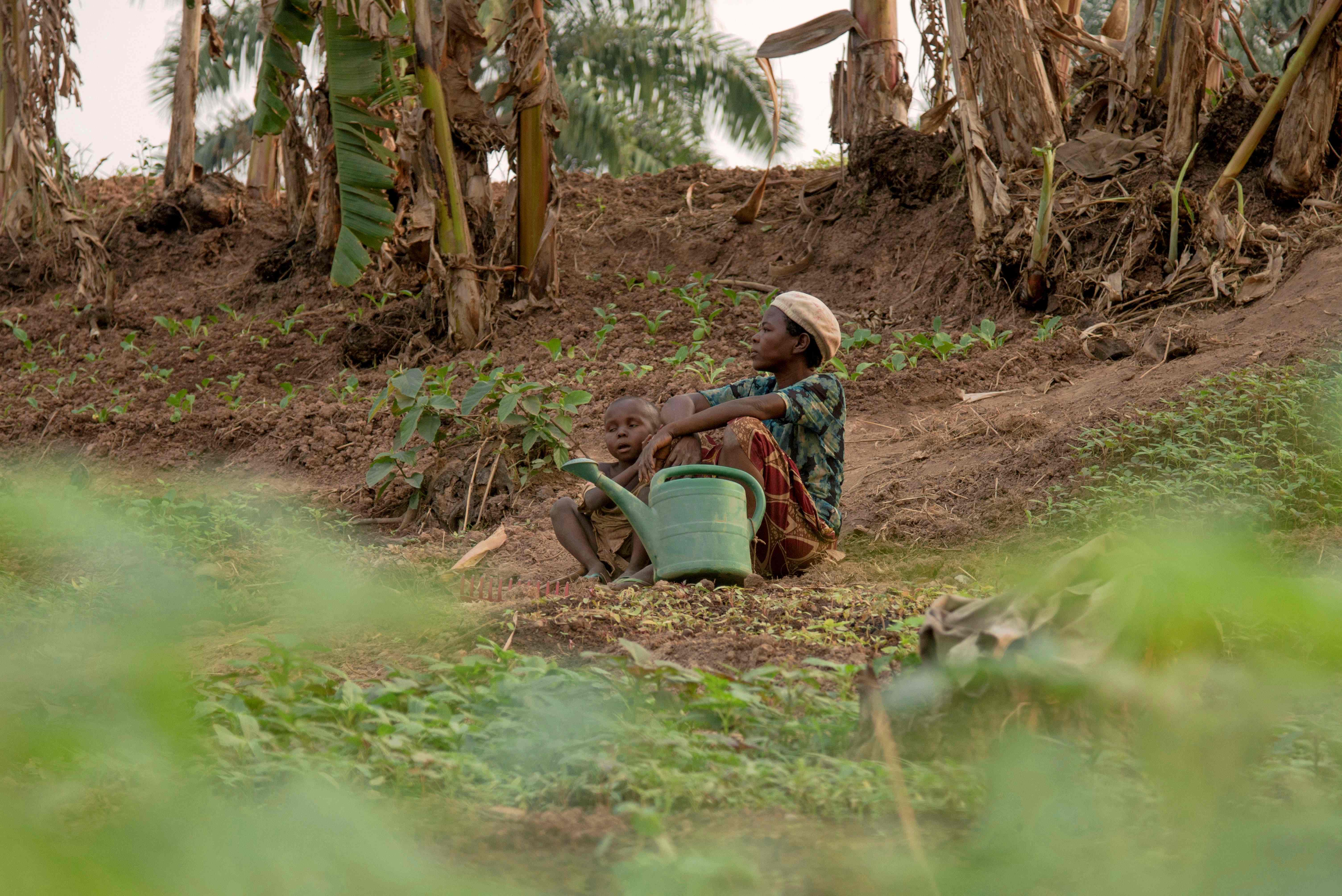 تشرد آلاف الأسر فى الكونغو بسبب المتمردين